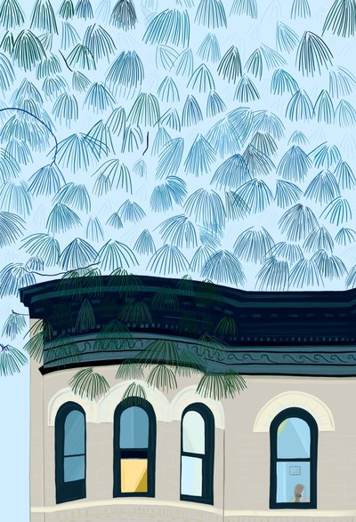  by Evan Sklar