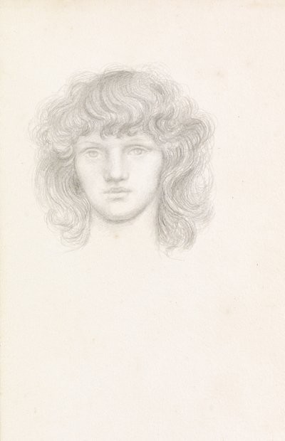Bir Kızın Başı by Evelyn De Morgan