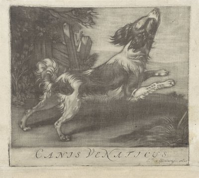 zıplayan köpek Canis Venaticus (nesne üzerindeki başlık) by Evert van Sweinen