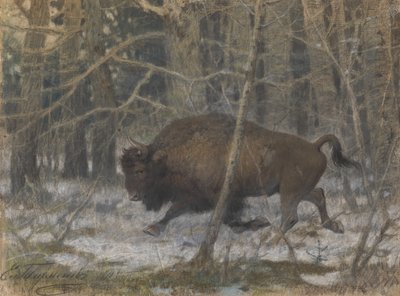 ahşap bizon by Evgeny Alexandrovich Tichmenev