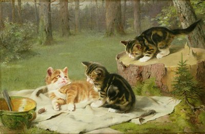 oynayan yavru kedi by Ewald Honnef