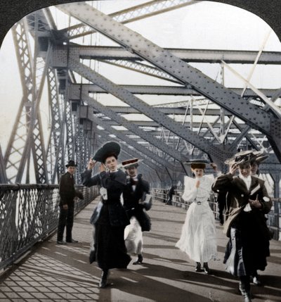 Gezinti yeri, Williamsburg Köprüsü, New York, ABD, c1900s by Excelsior Stereoscopic Tours