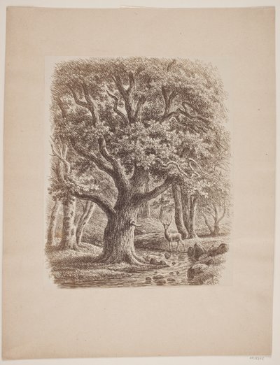 Bir dere ve bir geyik ile orman rüzgarları by F.C. Kiærskou
