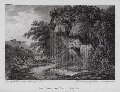 Damlayan Kuyu, Yorkshire (gravür) by F. (after) Nicholson
