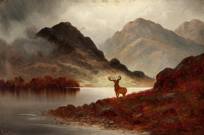 Bay Geyik (tuval üzerine yağlı boya) by F. Carl