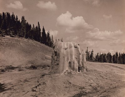  by F. Jay Haynes