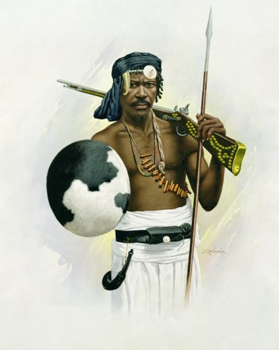 Sakalava Savaşçısı by F. Ralambo