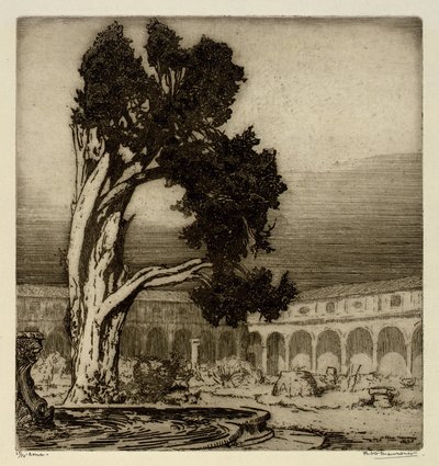 Michelangelo