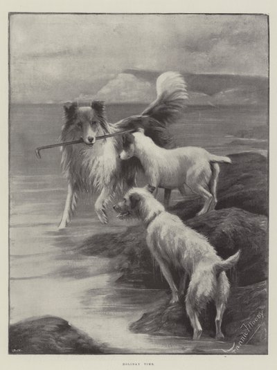 Tatil zamanı by Fannie Moody