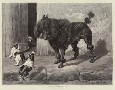 Boji Adam by Fannie Moody