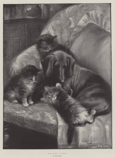 Kadife Paws by Fannie Moody