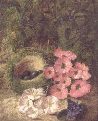 Bahar (köpek güllü yuva) by Fanny Jane Bayfield