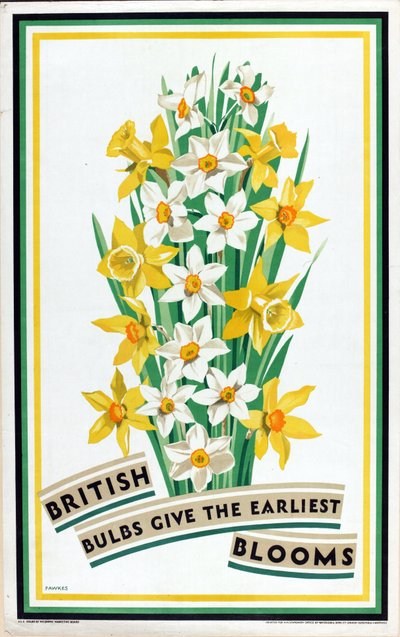 'British Bulbs for Home Gardens' serisinden İngiliz Soğanları En Erken Çiçek Açar (renkli litho) by Fawkes Fawkes