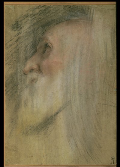 Profildeki Yaşlı Bir Adamın Başı, c.1575-9 (pastel, siyah tebeşir ve iyimser) by Federico Barocci