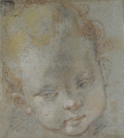 Recto: Bir Çocuğun Başı (mavimsi-gri kağıt üzerinde siyah, kırmızı, beyaz, pembe ve sarı tebeşirler) by Federico Barocci