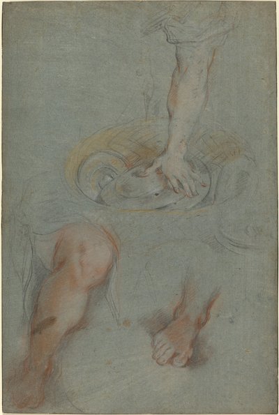 "Son Akşam Yemeği"nde Bir Hizmetçi İçin Çalışmalar by Federico Barocci