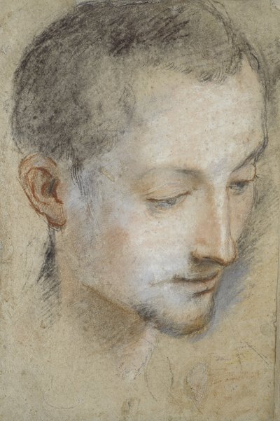 Genç Bir Adamın Kafasının İncelenmesi (grimsi kağıt üzerinde siyah, kırmızı ve pembe tebeşirler) by Federico Barocci