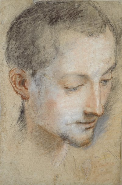 16. yüzyılın sonlarında genç bir adamın kafasının incelenmesi by Federico Barocci