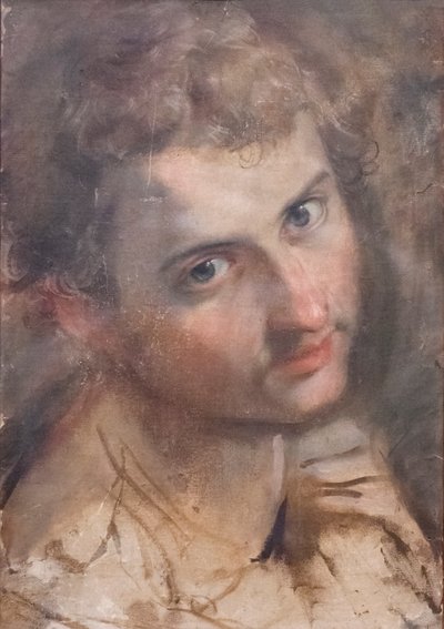 Aziz Yahuda'nın başı için çalışma by Federico Fiori Barocci or Baroccio