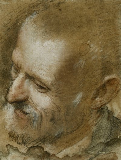 Sola Dönmüş Sakallı Bir Adamın Başının İncelenmesi, 1590 by Federico Fiori Barocci or Baroccio