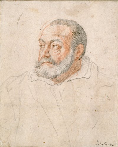 Bir Adamın Portresi, Barozzi da Vignola, 16. yüzyıl by Federico Zuccaro