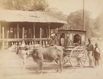 Birmanya Toplu Taşıma by Felice Beato