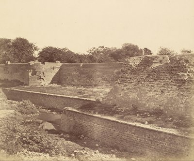Cashmere Bastion