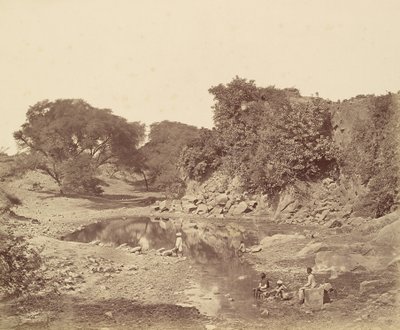 Karga Yuvası Pili by Felice Beato