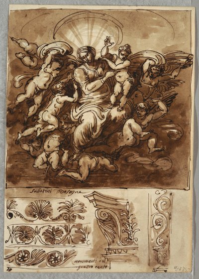 Madonna Glory, Bartolomeo Passeroti Bologna