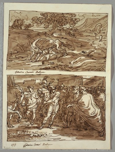 Romulus ve Remus Kurdu Emdi; Romulus, Fethedilen Kral Acronius