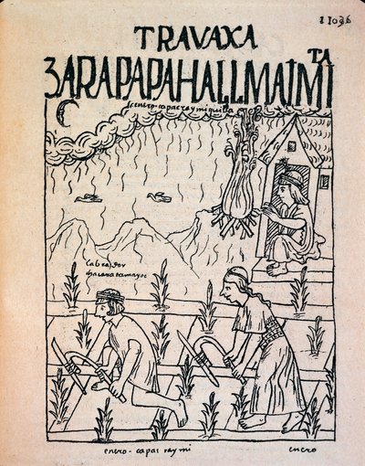 Ocak ayında tarlada çalışan İnka Hatun Runa çifti (Mürekkep çizimi by Felipe Huaman Poma de Ayala