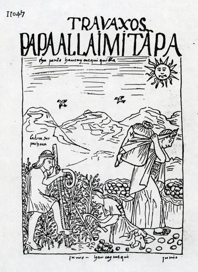 Patateslerin Hasat Edildiği Haziran Ayı by Felipe Huaman Poma de Ayala