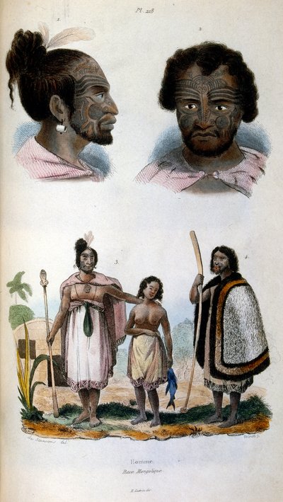 Maori Irkını tasvir eden antropolojik illüstrasyon by Felix-Edouard Guerin