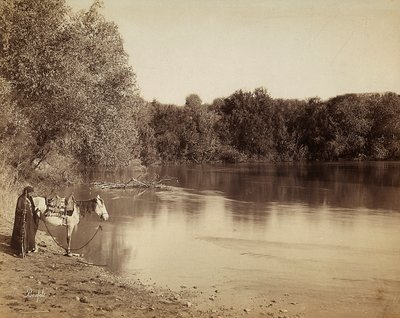 Mısır