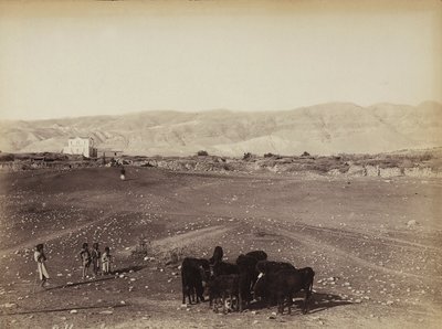 Mısır