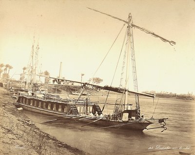 Mısır
