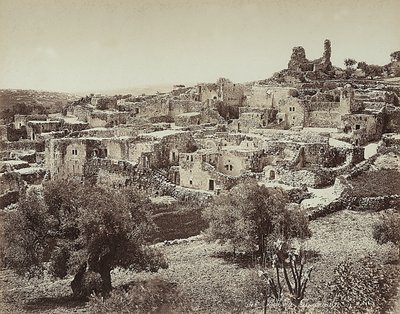 Zeytin Dağı