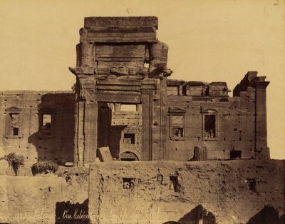 Palmyra, Suriye