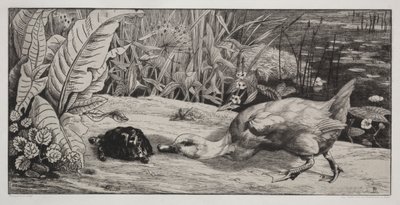 Bir bilinmeyen by Felix Bracquemond