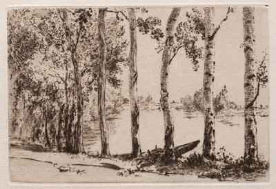 Seine kıyısında Aspens by Felix Bracquemond