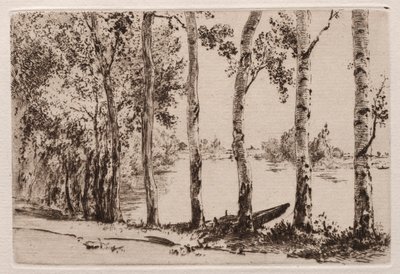 Seine kıyısında Aspens. by Felix Bracquemond
