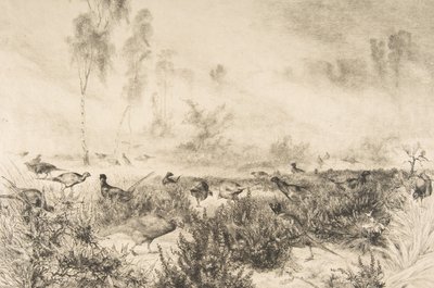 Sabah sisleri, 1882. by Felix Bracquemond