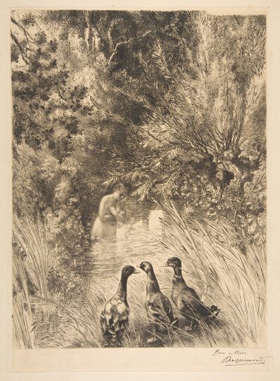Sürpriz ördekler, 1882. by Felix Bracquemond