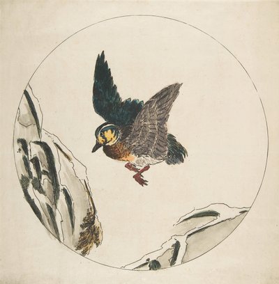 Bir Tabak Dekorasyonu: Karla Kaplı Dalların Üzerinde Uçan Bir Ördek, 1850-1914. by Felix Bracquemond