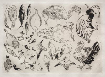Akşam Yemeği Servisi (Rousseau servisi): Ördek, balık vb. (no. 12) by Felix Bracquemond
