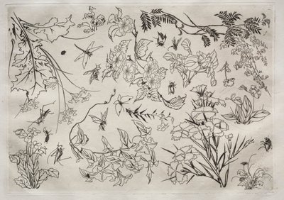 Akşam Yemeği Servisi (Rousseau servisi): Çiçekler (no. 22) by Felix Bracquemond