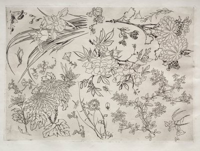 Akşam Yemeği Servisi (Rousseau servisi): Çiçekler (no. 23) by Felix Bracquemond