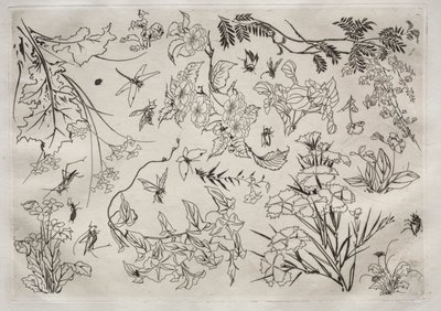 Akşam Yemeği Servisi Rousseau servisi: Çiçek no. 22, 1866. by Felix Bracquemond