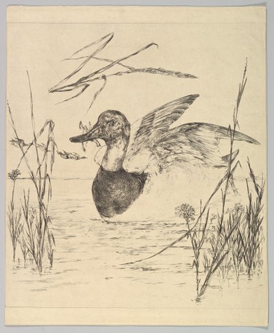 Ördek, 1850-1914. by Felix Bracquemond