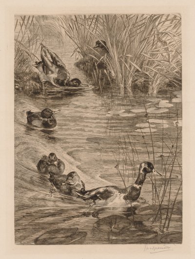 Oyundaki ördekler by Felix Bracquemond